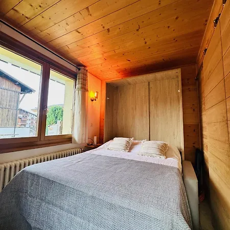 Appartement Centre Gets, Jardin Prive, Acces Pistes A Pieds *