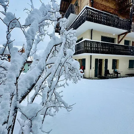 Centre Gets, Jardin Prive, Acces Pistes A Pieds *